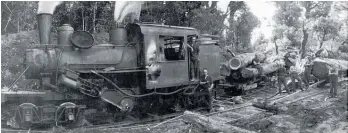  ?? ?? Te Awamutu's Climax 1317 steam locomotive pictured at work at Te Rena in 1933.