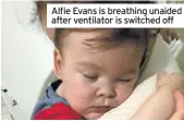  ??  ?? Alfie Evans is breathing unaided after ventilator is switched off