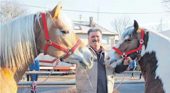  ?? FOTOS: SCHOLZ ?? Adelbert Hagel führt einen Pferdehand­el in Kirchbierl­ingen bei Ehingen. Seit 40 Jahren ist er auch schon auf Tiermärkte­n dabei.