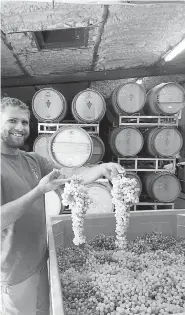  ?? Provided by The Winery at Holy Cross Abbey ?? Taylor Lawson showing prime grape clusters at The Winery at Holy Cross Abbey in Canon City in August 2019.