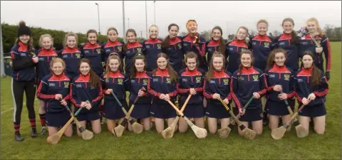  ??  ?? The Presentati­on (Wexford) squad before Saturday’s All-Ireland final in Tinryland.