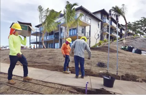  ?? The Maui News / MATTHEW THAYER photos ?? Island Plant Co. crew members Mark Carreon (from left), Jonathan Dameg and Dimetrio Gonzalez install an irrigation system as constructi­on continues at the AC Hotel by Marriott Maui Wailea project Friday morning. The hotel is scheduled to begin operations in April. General Manager Kaleo Kenui said that “ironically, this is a good time to open the new hotel,” since the slowdown in tourism has given them time to set up COVID-19 protocols.