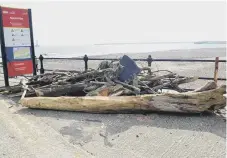  ??  ?? Storms often bring driftwood to the shore at Roker.