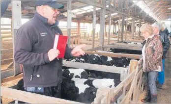  ??  ?? PHILL Robson of Carrfields Livestock gets to $210/head for these Friesian bull calves from Oringi Pastures at the company’s first sale Wednesday August 7.