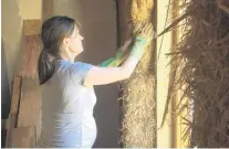  ?? PHOTO: THOMSON REUTERS FOUNDATION ?? DIY . . . Erica Thompson applies locally sourced plaster to the straw bale insulation in her new home in Pembrokesh­ire.