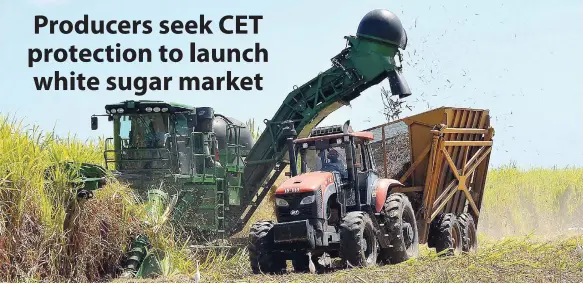  ??  ?? A cane harvester in operation at Monymusk Sugar Estate in Lionel Town, Clarendon. Regional sugar producers are lobbying for CET protection as a precursor to plans to begin manufactur­ing plantation white sugar.