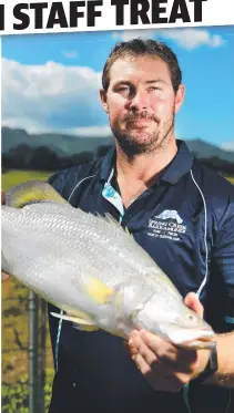  ??  ?? BARRA BONUS: Farm manager Tim Bade says Spring Creek Barramundi will give free fish to hospital workers.