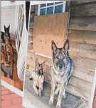  ?? H John Voorhees III / Hearst Connecticu­t Media ?? Photos of the Caviola family dogs Cimo, right, and Lieben are seen on a poster Wednesday outside a courtroom in Danbury, Conn.