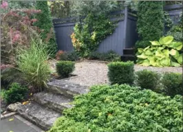  ??  ?? Small evergreens, Japanese maples and ornamental grasses provide layers of interest to the garden. The base of the escarpment is visible just beyond the fence.