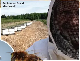  ??  ?? Beekeeper David Macdonald