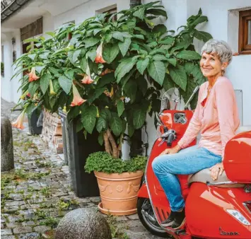  ?? Foto: Julian Leitenstor­fer ?? Engelstrom­peten sind eindrucksv­olle Pflanzen – und giftig. Barbara Volke aus Landsberg hatte bisher aber noch keine Probleme mit dem Pflanztrog an ihrer Haustüre.