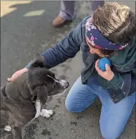  ?? COURTESY PHOTO ?? Moira Farrell befriends the dog of a homeless person in Vallejo.