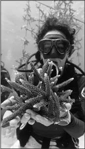  ?? WILFREDO LEE / ASSOCIATED PRESS ?? Research associate Catherine Lachnit holds coral fragments gathered from a coral nursery, on Aug. 4 near Key Biscayne, Fla.