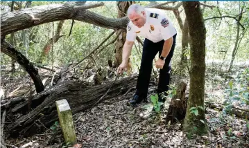  ?? LAWREN SIMMONS Fresh Take Florida ?? Fire Chief Kevin Carroll reads off a headstone in the Oak Tree Union Colored Cemetery of Taylorvill­e in Groveland, Fla., on March 25. The abandoned African-American cemetery is estimated to have 70 people buried in it, according to Carroll.