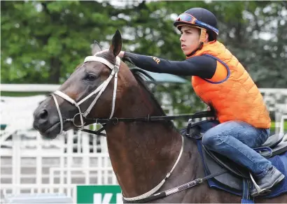  ??  ?? HERE'S HOPING. Mike de Kock's runner Mubtaahij faces a strong field in the Dubai World Cup but there are hopes that he will turn in a performanc­e to make the stable proud.