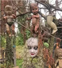  ??  ?? Spooky dolls hang from trees and fences on the Island of Dolls.