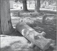  ?? Special to the Democrat-Gazette ?? This 2016 photo shows where an 8-year-old boy died that December after a Woodmen of the World tombstone he was climbing on broke and crushed him at Dry Creek Cemetery in Lynn.