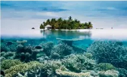  ?? / Getty Images ?? Fondo marino con corales en las islas Maldivas.