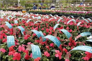  ?? NAM Y. HUH — THE ASSOCIATED PRESS ?? Shoppers wear mask as they shop at a nursery & garden shop on Mother’s Day weekend during COVID-19pandemic in Wilmette, Ill., Saturday, May 8, 2021.