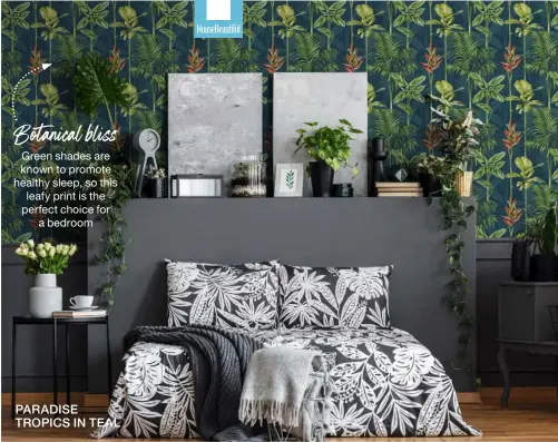  ??  ?? Botanical bliss
Green shades are known to promote healthy sleep, so this leafy print is the perfect choice for a bedroom
PARADISE TROPICS IN TEAL