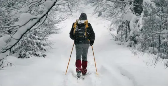  ?? SUBMITTED PHOTO ?? There are three essential pieces of gear for cross country skiing. In order of importance, they are boots, skis and poles.