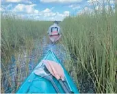 ?? COURTESY ?? A group of South Florida explorers recently retraced the 130-mile journey of Hugh Willoughby, who canoed across the Everglades 125 years ago.