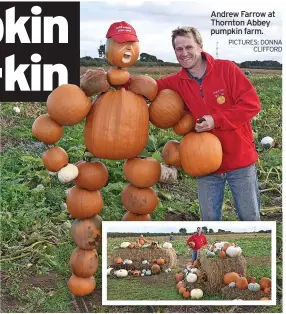  ?? PICTURES: DONNA
CLIFFORD ?? Andrew Farrow at Thornton Abbey pumpkin farm.