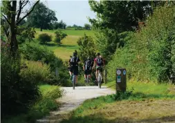  ??  ?? ABOVE Hire bikes and try the family-friendly three-mile cycling route