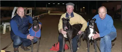  ??  ?? As they finished in the first of the 2017 Lee Strand 550 semi-finals, from left, trainer Johnny O’Sullivan with Millroad McCoy, trainer Tom O’Neill with Ballyholly fin and trainer Neilus O`Connell with Mohane Odie at the Kingdom Stadium on Friday night