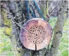  ?? FOTO: PRIVAT ?? Mit Hilfe eines Akkuschrau­bers soll ein solches Bienenhote­l gebaut werden.