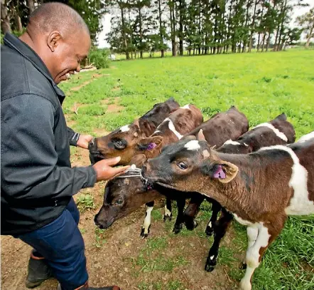  ?? PHOTO: DAVID UNWIN/FAIRFAX NZ ?? James Muwunganir­wa is advising lower North Island farmers to get in shape for calving.