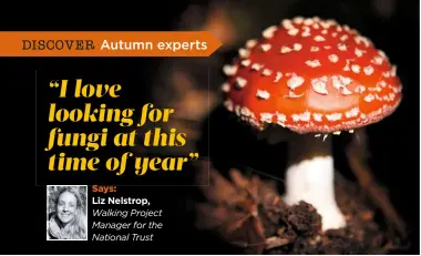  ??  ?? Says: Liz Nelstrop, Walking Project Manager for the National Trust