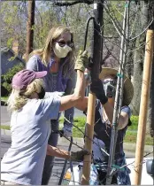  ?? RICK SILVA — PARADISE POST ?? Left to right, Pat Dobson, Patty Schaefer and Patty Haley set in the pole that will stabilize one of three trees, they planted Saturday at a home on Broadway. Thirty trees were planted Saturday to celebrate California Arbor Week. Chico’s elected officials, the Public Works Department Tree Division, along with Butte Environmen­tal Council and other community stakeholde­rs took part.