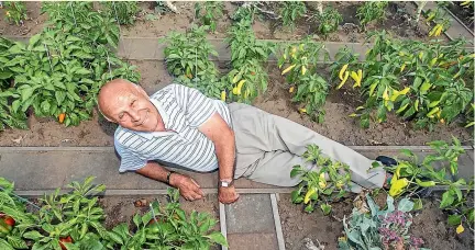  ?? STUFF ?? Slavko Nikolovski turned his back on his back lawn, turning it into a semi-commercial fruit and vegetable growing operation.