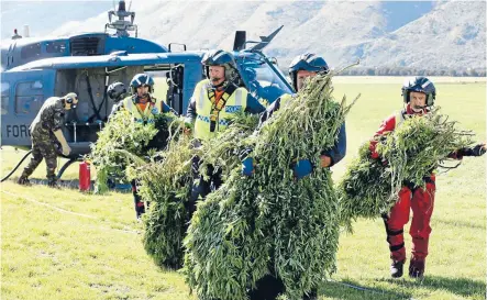  ?? Photo: MARTIN DE RUYTER/FAIRFAX NZ ?? Police officers unload more than 100 cannabis plants from a helicopter in a paddock near St Arnaud.