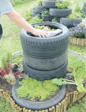  ??  ?? RECYCLE. Veggies and herbs with wormery in used tyres.