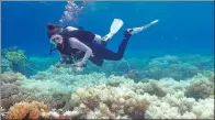  ?? GREG TORDA / AGENCE FRANCE PRESSE ?? A diver examines bleaching on a coral reef on Orpheus Island, Australia, in an undated photo released by ARC Center of Excellence for Coral Reef Studies on Monday.