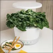  ??  ?? High-tech growing systems like the Aerogarden Harvest 360 are bringing the joy of gardening even to those without light, know-how or outdoor space.