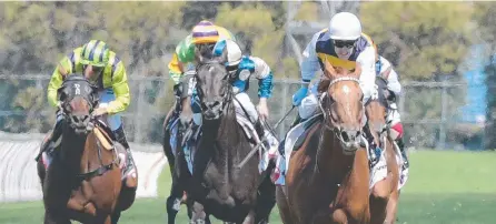  ?? RARE TALENT: Gailo Chop ( left), ridden by Mark Zahra during the Ranvet Stakes, will back up with a run in the Tancred Stakes. ??