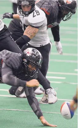  ?? ADOLPHE PIERRE-LOUIS/JOURNAL ?? Duke City linebacker Jayson Serda (28) pressures Amarillo quarterbac­k Nate Davis as he tries to recover a loose ball Saturday.