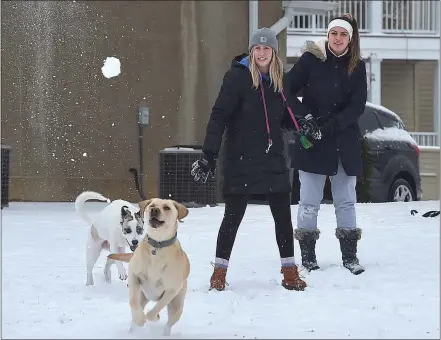  ?? PETE BANNAN — MEDIANEWS GROUP ?? Ace and Kota enjoy chasing after snowballs thrown by their masters Cortney Epstein and Brittany Merkle near their West Chester residence Monday morning. The storm changed from snow to sleet early in the day which kept snow totals down but made for icy roads.