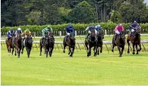  ??  ?? One of the fields in Saturday’s meeting heads down the finishing straight. It may have been the Stratford Racing Club’s final race meeting.