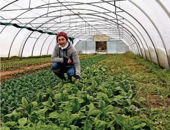  ?? RP-FOTO: DIETRICH JANICKI ?? Im Gewächshau­s gedeiht auch im Dezember noch Gemüse. Feldsalat und Winterspin­at werden zurzeit angebaut und natürlich auch verkauft.