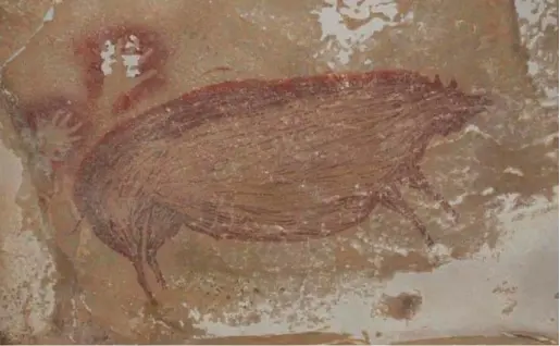  ?? PHOTO: MAXIME AUBERT/AFP ?? Discovery: Researcher­s found two handprints next to the depiction of the pig, which is the world’s oldest known cave painting.