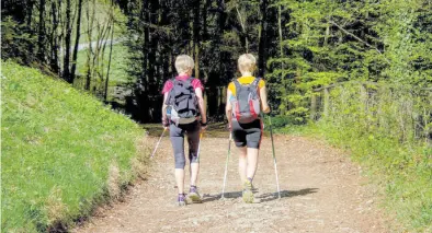  ?? BILD: Pixabay ?? Bewegung tut gut: Wie wäre es mit Nordic Walking?