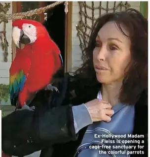  ?? ?? Ex-Hollywood Madam Fleiss is opening a cage-free sanctuary for the colorful parrots