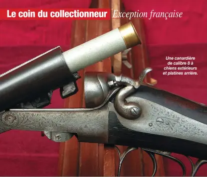  ??  ?? Une canardière de calibre 8 à chiens extérieurs et platines arrière.