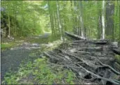  ?? PETE BANNANDIGI­TAL FIRST MEDIA ?? A pile of old ral ties along land that Chester County has purchased in Wallace Township to extend the Struble trail.