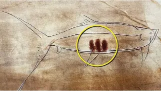  ?? ?? Three lines on a fish: A salmon drawn in Spain around 17,000 years ago