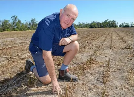  ??  ?? AGAINST THE GRAIN: AgForce Grains president and Dalby grain grower Wayne Newton is encouragin­g anyone with an interest in the industry to attend “night of nights” gala dinner in Toowoomba on July 20.